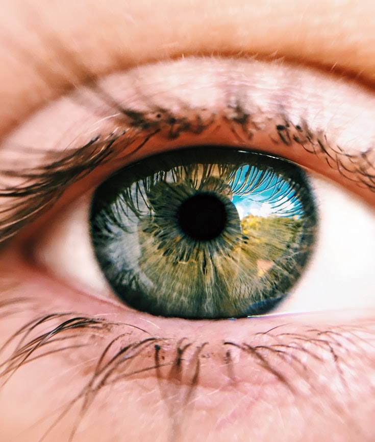 close-up-cornea-eye-1925630.jpg