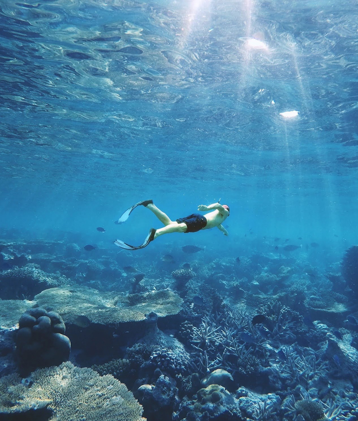 対症療法と原因療法
